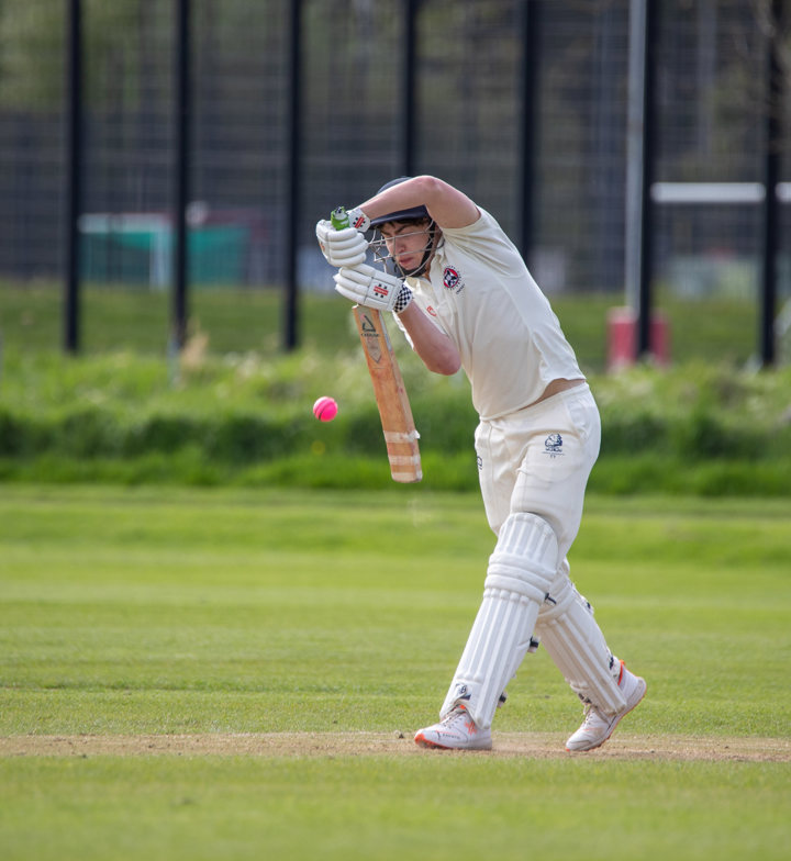 Cricket