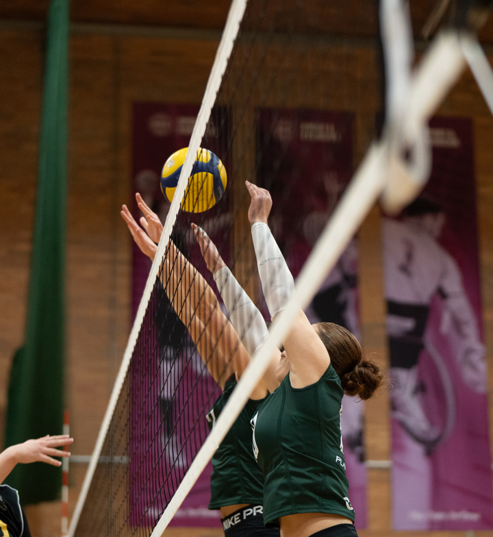 Volleyball