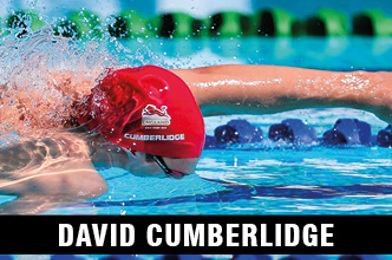 David Cumberlidge