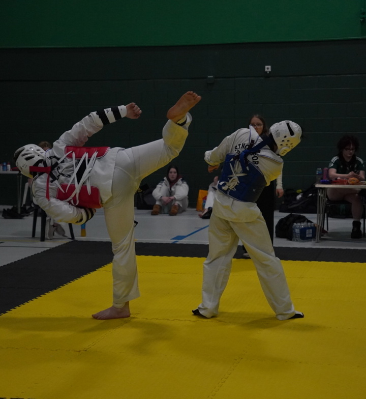Taekwondo