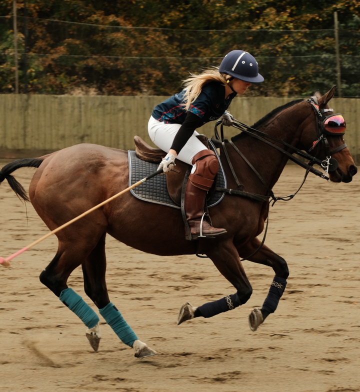 Polo
