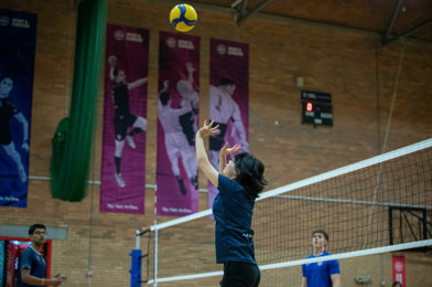 Volleyball